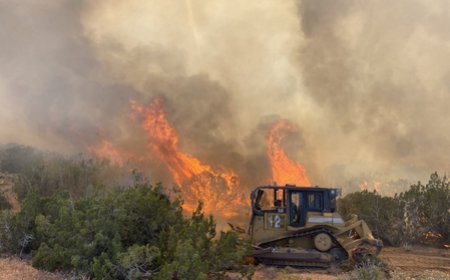 US forest chief warns of severe fire season