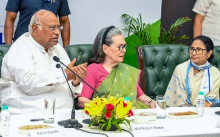 We defeated malicious bills on delimitation, must strengthen united fight: Kharge at INDIA bloc meet