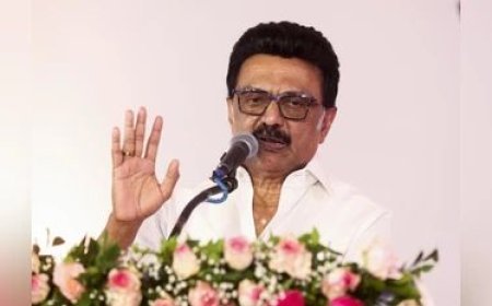 DMK plans major organisational overhaul after defeat in TN Assembly polls