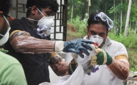 Kerala on alert after Nipah case detected in Kozhikode, patient kept in isolation