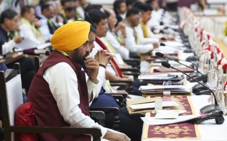 Punjab CM Seeks Special Category Status & Special Package for Border Areas from Centre