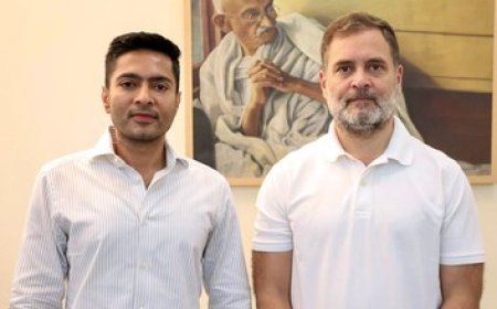 'Keep shining': Abhishek Banerjee extends birthday wishes to LoP Rahul Gandhi