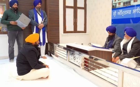 If It Is not Bhagwant Mann, then who Is in the controversial Viral Video?
