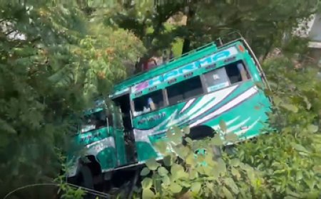 23 pilgrims injured as minibus falls into gorge in J&K's Kathua