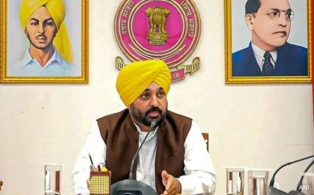 Bhagwant Mann video row: Gurugram Police arrest two for forcing 'tailored' forensic report; BJP says state-sponsored cover-up