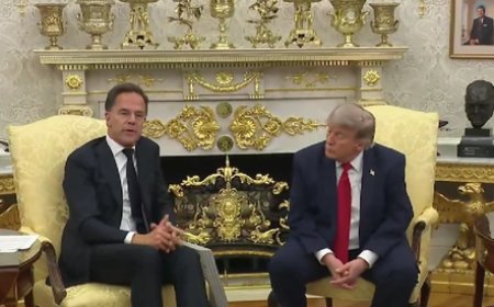 NATO allies let US down: Trump tells NATO chief Rutte