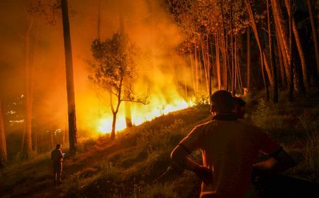 Maha govt crackdown on Konkan forest fires, Jalgaon's fake crop insurance fraudsters