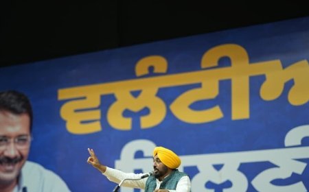 BJP May Attempt to Delete Votes of AAP Supporters During SIR; Every Volunteer Must Remain Vigilant: CM Bhagwant Singh Mann
