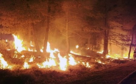 Three US wildland firefighters killed near Colorado-Utah border as western fires surge