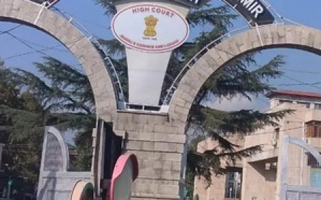 J&K High Court grants bail to accused in POCSO case