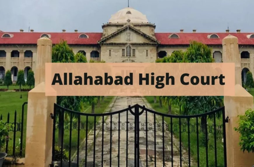 Allahabad HC to Police: Investigate Crimes, Not Marriages; Calls Cops 'Nosy Parkers'