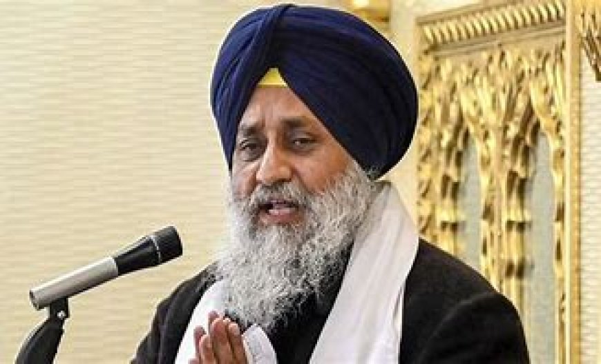 Sukhbir Singh Badal appoints constituency presidents of SAD traders' wing of 67 assembly constituencies.