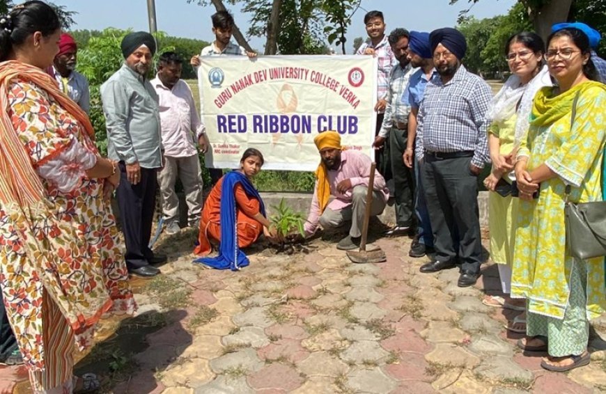 Medicinal, Shade-Giving Saplings Planted at GNDU College Verka to Mark World Environment Day