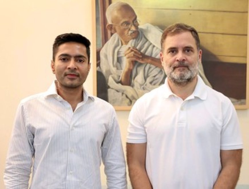'Keep shining': Abhishek Banerjee extends birthday wishes to LoP Rahul Gandhi