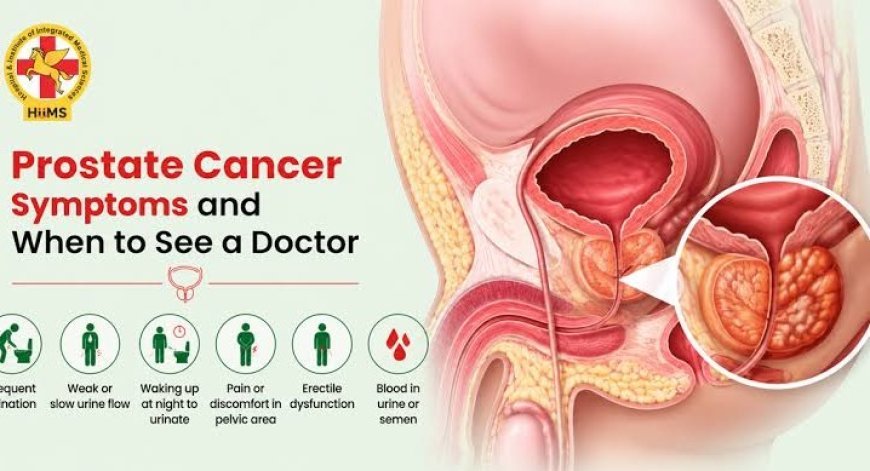 Blood in Urine? Pelvic Pain? Punjab Doctor Warns of Prostate Cancer Signs, Suggests Early Detection