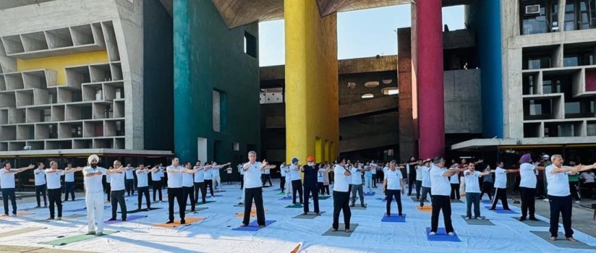 International day of Yoga celebrated at Punjab & Haryana High Court with focus on Yoga for healthy ageing