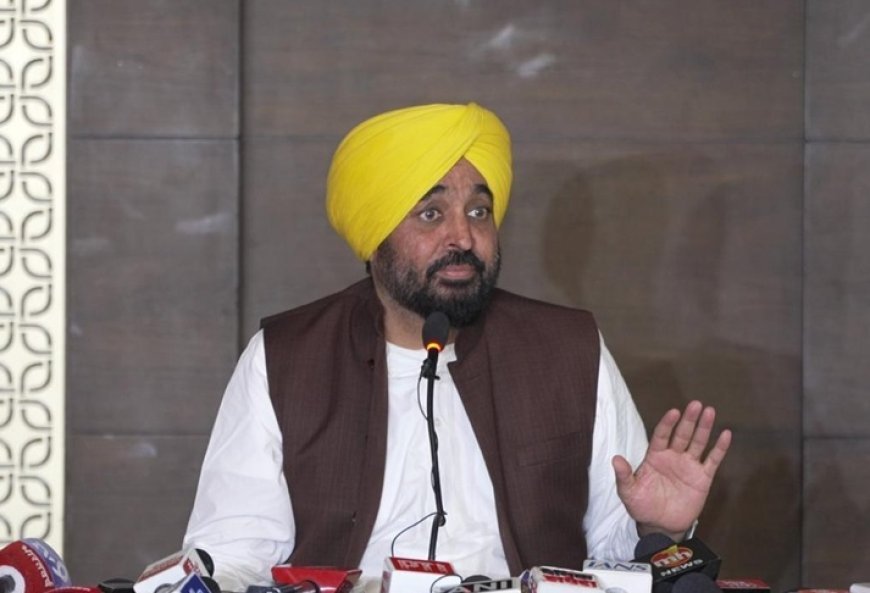 Punjab CM Bhagwant Mann claims mask was used to make someone resemble like him in viral video