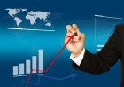 What New Investors Should Know before Following Large Cap Market Trends