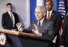Anthony Fauci invokes Fifth Amendment during Senate hearing as Covid row returns