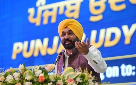 Safe Punjab' Anonymous WhatsApp Helpline Leads to Over 21,900 Arrests in 'Yudh Nashean Virudh'