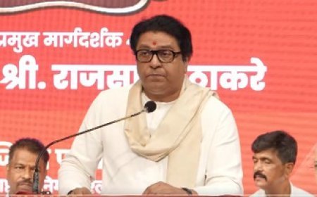 'Don't threaten Oppn, you are the Chief Minister': Raj Thackeray targets Fadnavis over Mumbai e-way 'Missing Link' tunnel leak