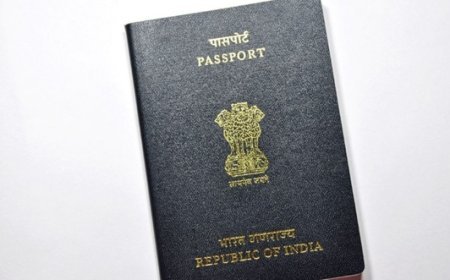 ED files chargesheet in Jalandhar court for US visa fraud 