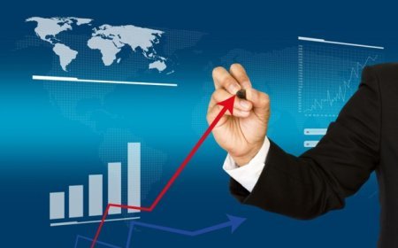What New Investors Should Know before Following Large Cap Market Trends