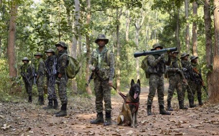 ‘Nation salutes its brave personnel’: VP Radhakrishnan, Amit Shah extend wishes on CRPF Raising Day