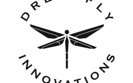 Dreamfly Innovations to build 100 MWh aviation battery plant to support Make in India, Atmanirbhar Bharat