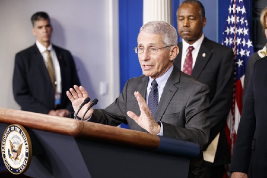 Anthony Fauci invokes Fifth Amendment during Senate hearing as Covid row returns