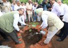 Delhi L-G TS Sandhu leads students in plantation drive on Kamla Nehru Ridge