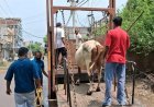 Municipal Corporation Amritsar launches major enforcement drive against three unauthorized dairies in Mohkampura