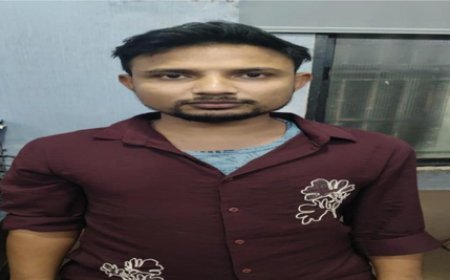 Guj police book hookah bar operator after FSL confirms nicotine in seized products