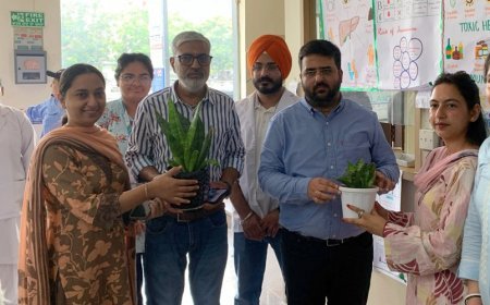 World Hepatitis Day is celebrated to increase the awareness regarding Hepatic