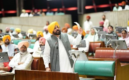 Issue of Vehicle Damage Due to E-20 Petrol Echoes in Punjab Vidhan Sabha