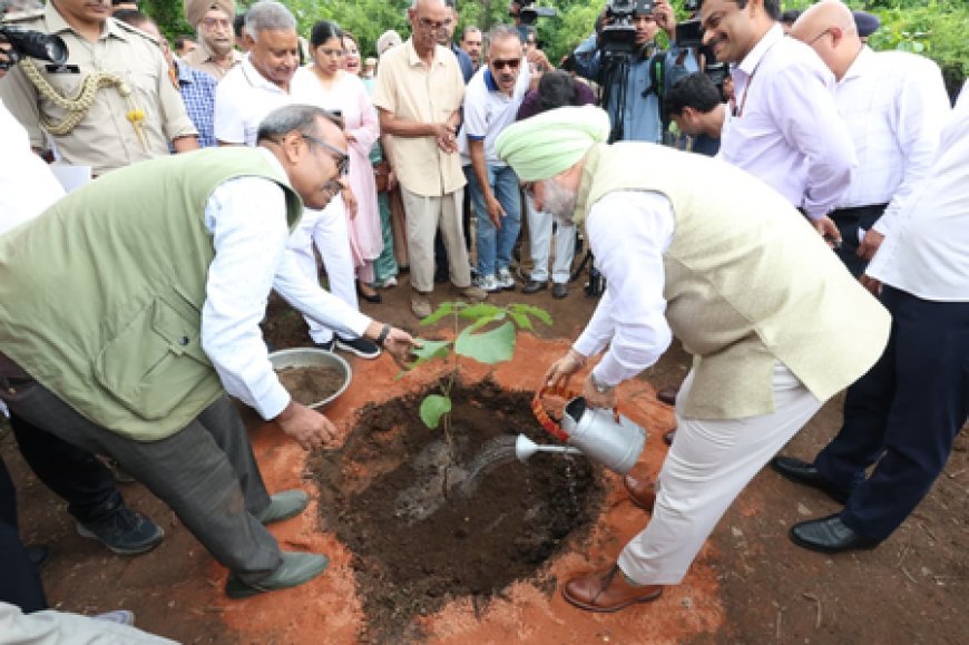 Delhi L-G TS Sandhu leads students in plantation drive on Kamla Nehru Ridge