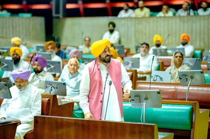 Punjab Govt Stands With Gen Z; Vidhan Sabha Raises Issue of Atrocities Against Youth