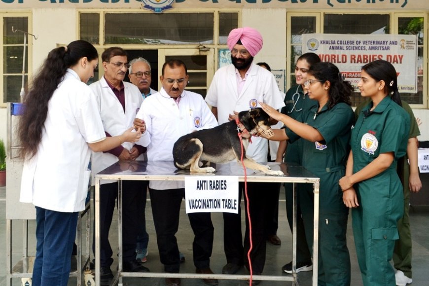 World Rabies Day celebrated at KCVAS with Awareness Drive and Vaccination Camp