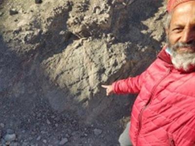 20 million largest palm leaves discovered from Ladakh