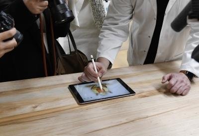 iPadOS 14.5 beta adds Apple Pencil Scribble support for more languages