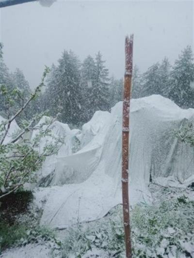 Winter returns to Himachal with widespread snow