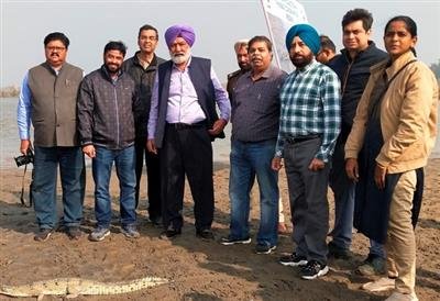 Punjab Government concerned to protect endangered Gavialis Gangeticus reptiles; Minister Gilzian