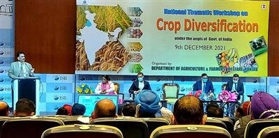 Crop diversification to boost prosperity of Farmers:Anirudh Tewari