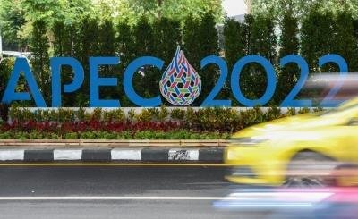 APEC Economic Leaders' Meeting kicks off on sustainable growth, trade