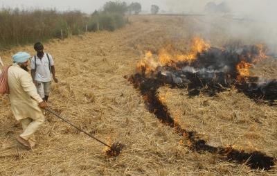 Punjab, Haryana farmers sensitised on stubble management