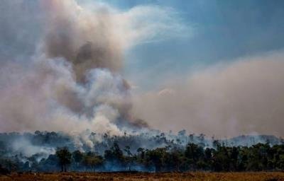 Brazilian Amazon deforestation rate drops 11.27%