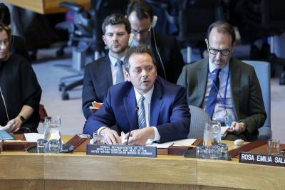 Success in Colombian peace process depends on efforts to curb violence: UN envoy