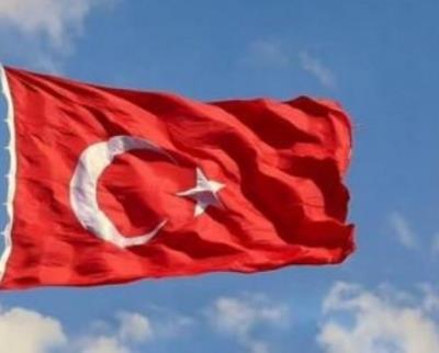 Turkey summons Swedish envoy over protests against Erdogan