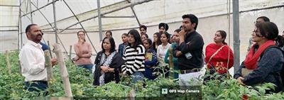 Agri students of RBU visit mushroom farms