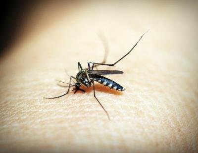 Cambodia sees sharp drop in malaria cases in over a decade: PM